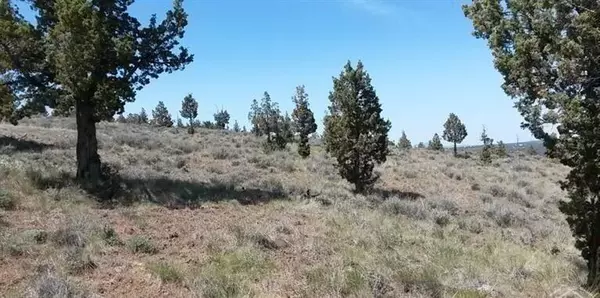 Prineville, OR 97754,TL 2200 Winchester LOOP