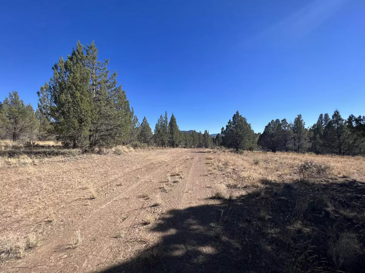 Beatty, OR 97621,NKA Lot 27 Tamarack CIR