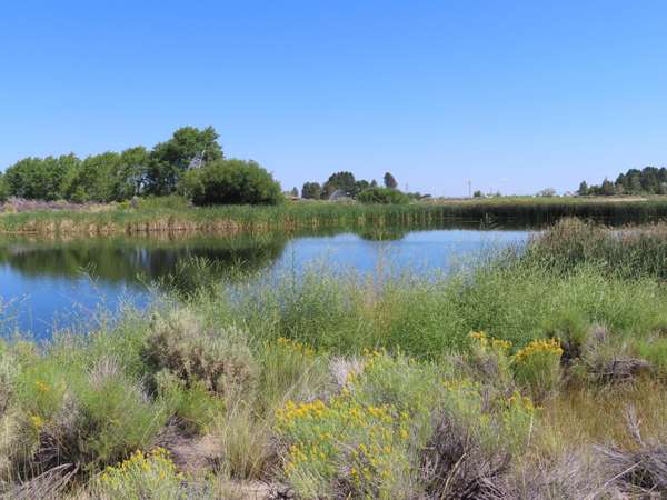 TL 600 Spruce (271710DD-00600) ST, Christmas Valley, OR 97641