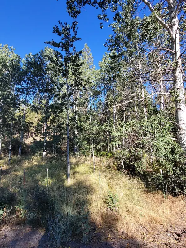 Chiloquin, OR 97624,Lot 22 Brittany DR