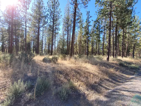 Chiloquin, OR 97624,Lot 22 Brittany DR