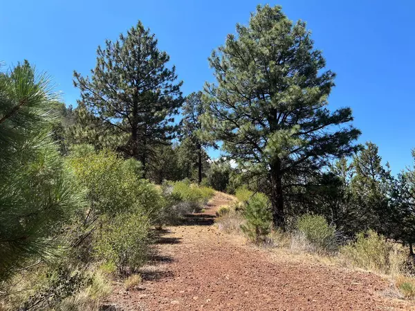 Klamath Falls, OR 97601,Lot 51 Peregrine Heights