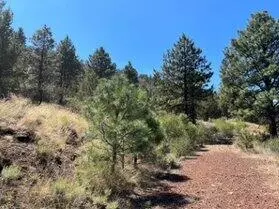 Klamath Falls, OR 97601,Lot 51 Peregrine Heights