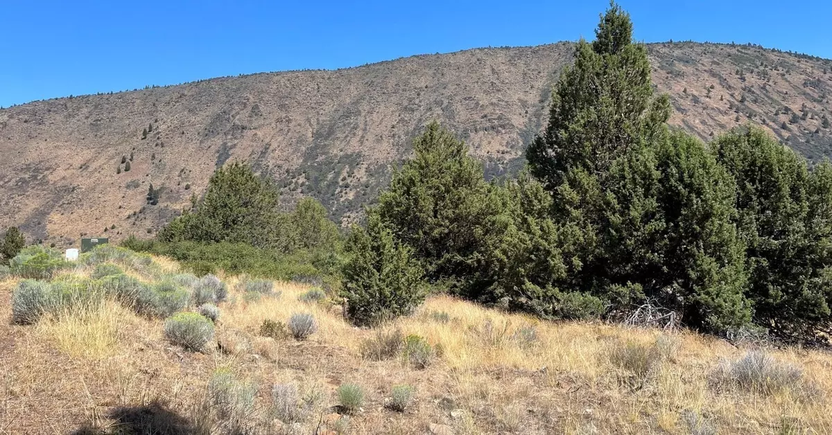 Klamath Falls, OR 97601,Lot 44 Peregrene Heights