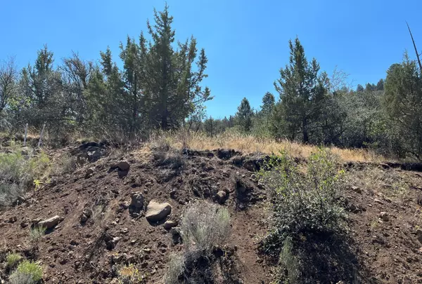 Klamath Falls, OR 97601,Lot 52 Peregrine Heights