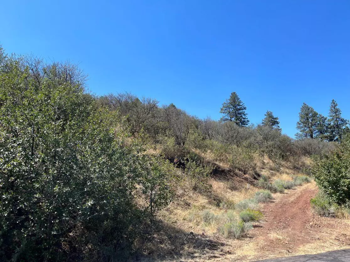 Klamath Falls, OR 97601,Lot 55 Peregrine Heights