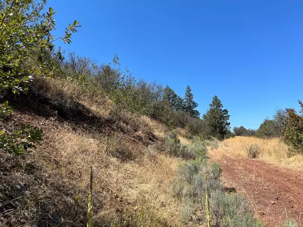 Klamath Falls, OR 97601,Lot 55 Peregrine Heights