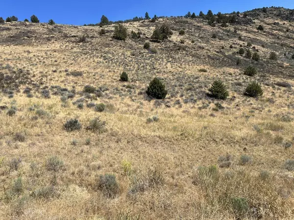 Klamath Falls, OR 97601,Lot 83 Peregrine Heights