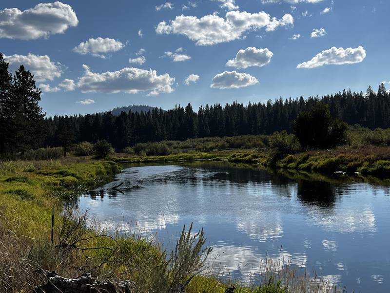 Lot 32 Green Forest DR, Sprague River, OR 97639