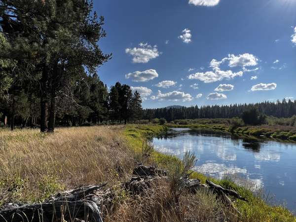 Sprague River, OR 97639,Lot 32 Green Forest DR