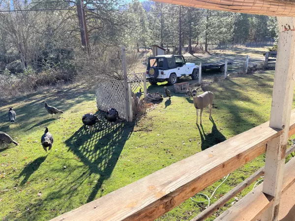 Applegate, OR 97530,160 Hogan RD