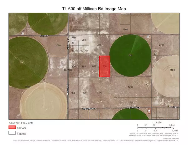 Christmas Valley, OR 97641,TL 600 Off Millican[25SS18E080000600] RD