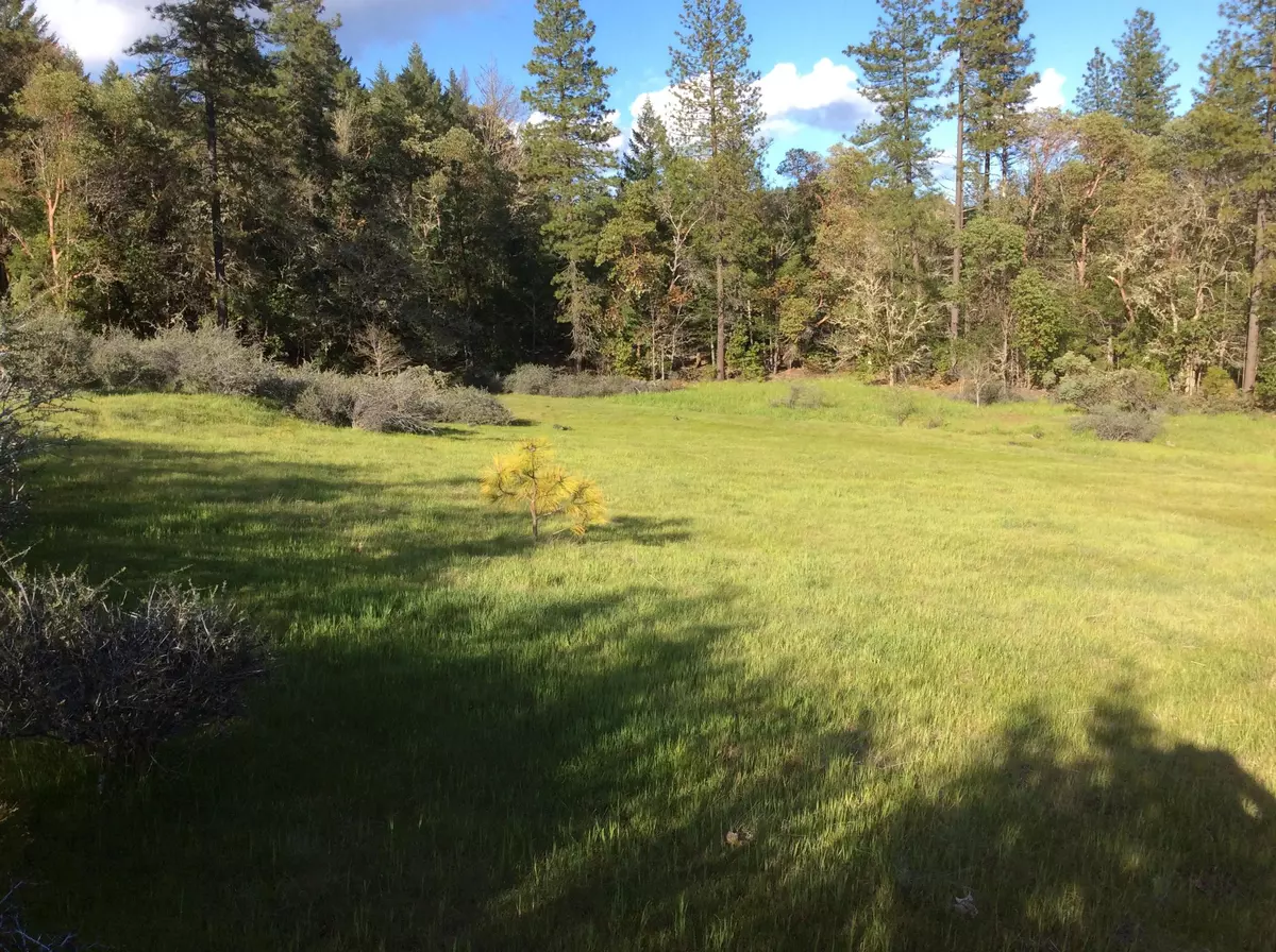 Cave Junction, OR 97523,316 Jeannie WAY