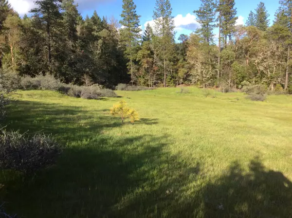 316 Jeannie WAY, Cave Junction, OR 97523
