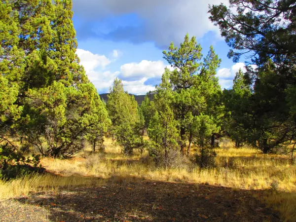 Prineville, OR 97754,TL3200 Pleasant View ST