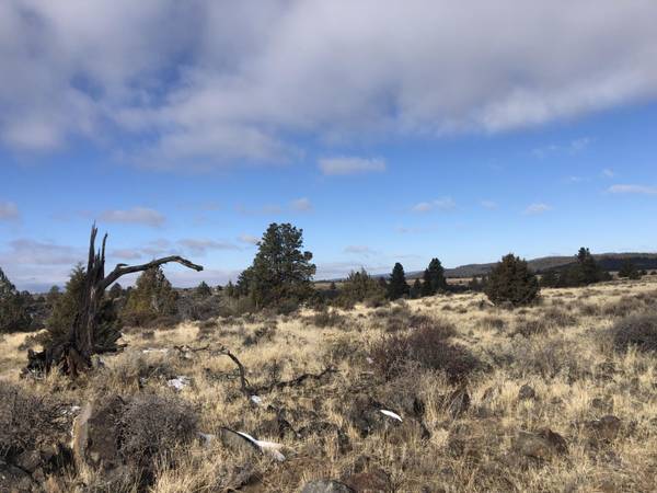 Okanogan ST #Lot 19, Sprague River, OR 97639