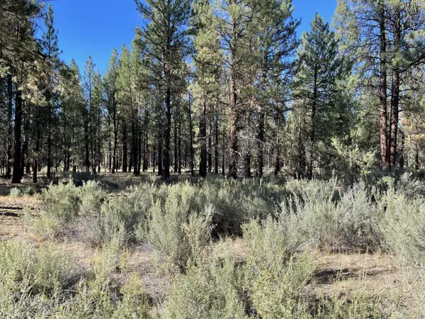 Chiloquin, OR 97624,Hideaway LN #Lot 12