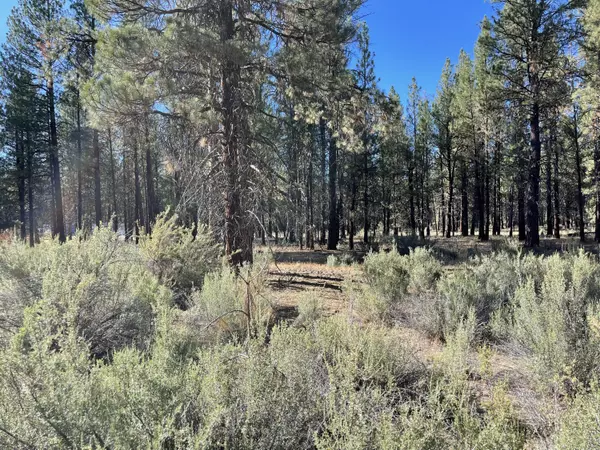 Chiloquin, OR 97624,Hideaway LN #Lot 12