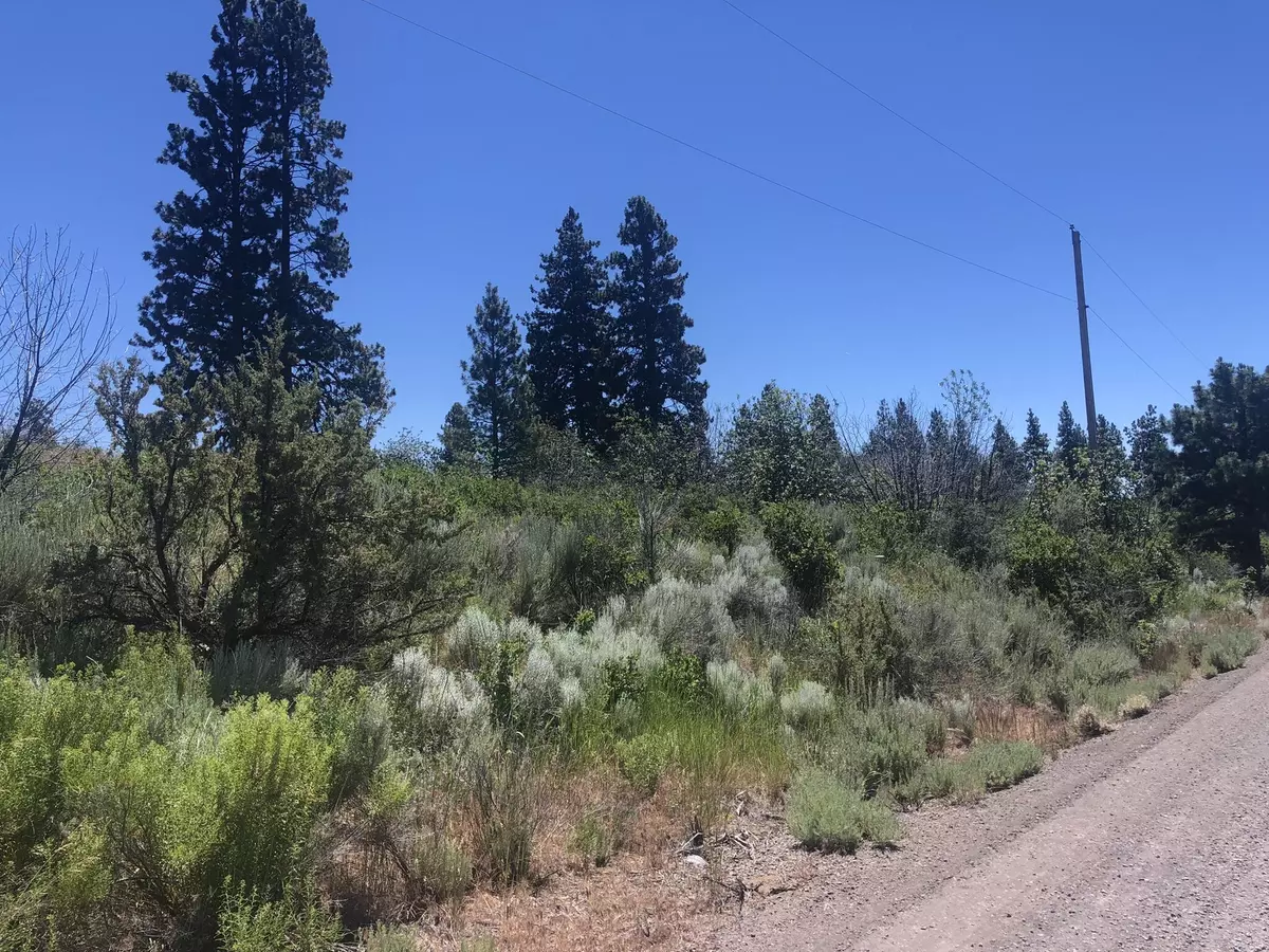 Chiloquin, OR 97624,34255 Oregon Shores DR #Lot 19