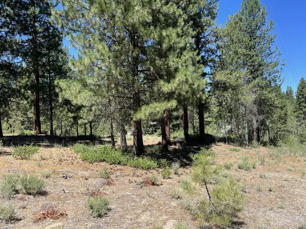 Incline DR #Lot 23, Chiloquin, OR 97624