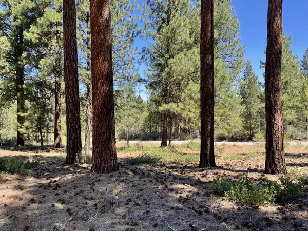 Chiloquin, OR 97624,Incline DR #Lot 23