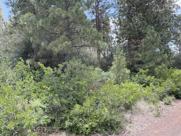 Chiloquin, OR 97624,Margi WAY #Block 48 Lot 8