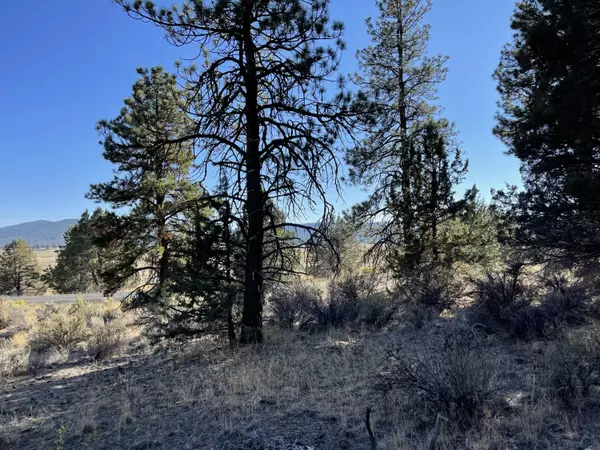 Sprague River, OR 97639,Drews RD #Block 2 Lot 4