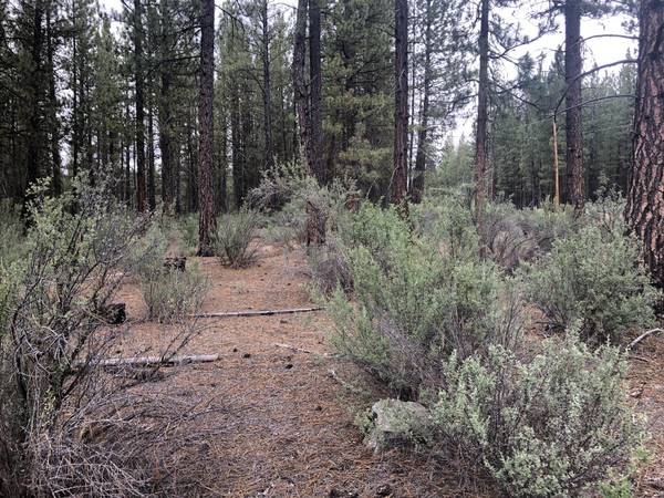 Corbell RD #Block 4 Lot 11, Chiloquin, OR 97624