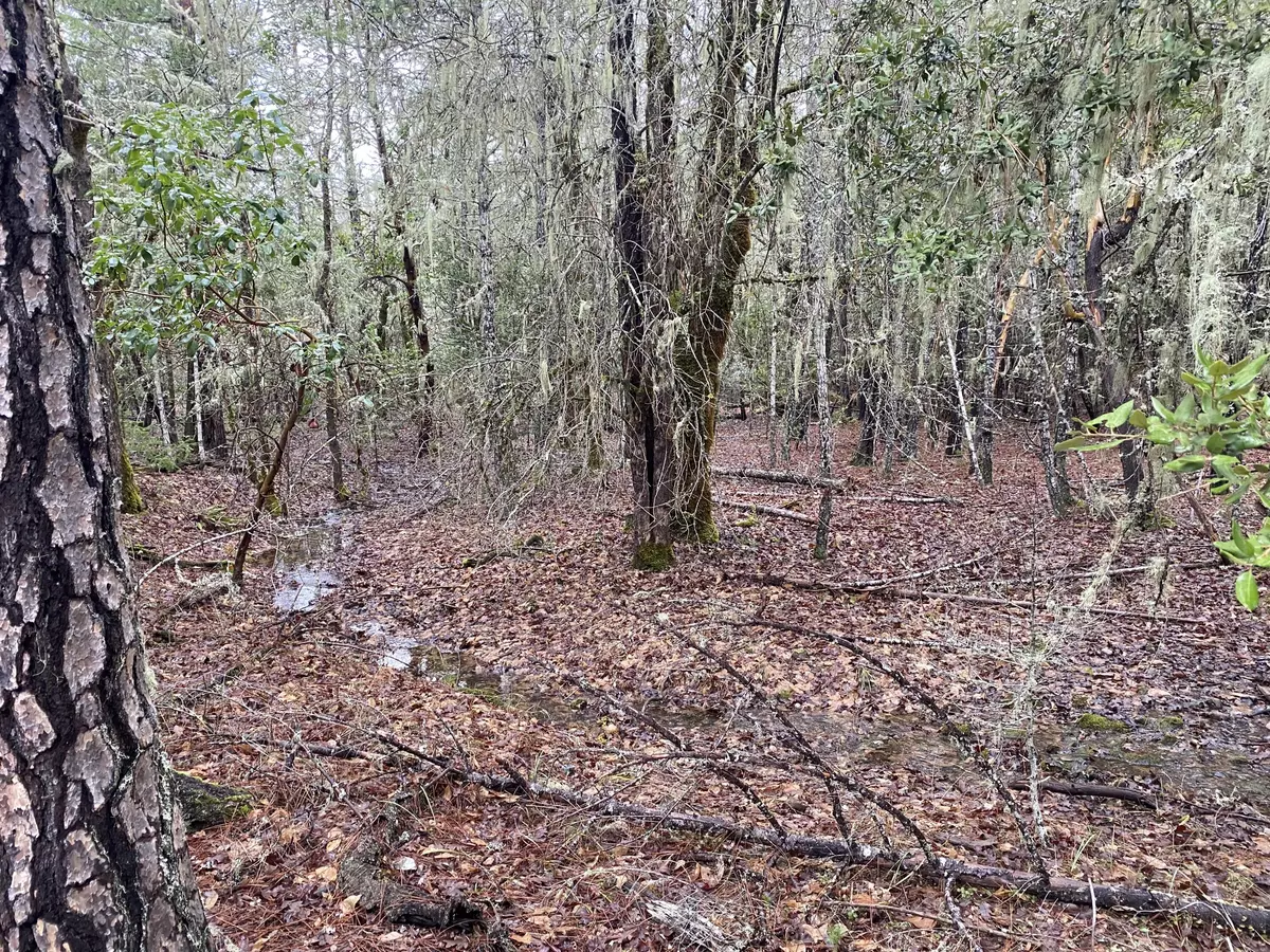 Merlin, OR 97532,Jumpoff Joe Creek RD