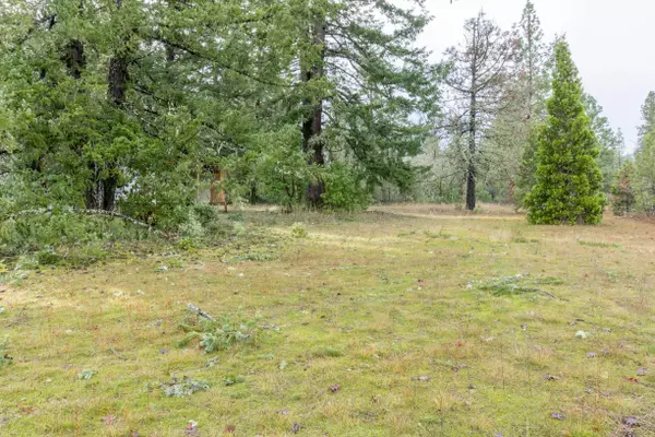 O'brien, OR 97534,33105 Redwood HWY