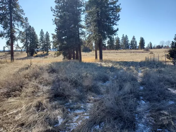 Chiloquin, OR 97624,Lot 13 Meadow View DR