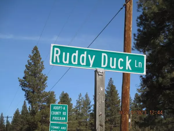 Bonanza, OR 97623,Lot 8 Ruddy Duck DR