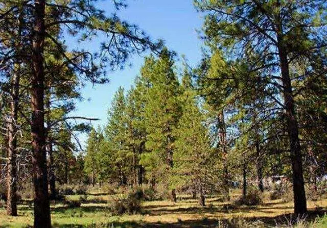 Bonanza, OR 97623,Lot 8 Ruddy Duck DR