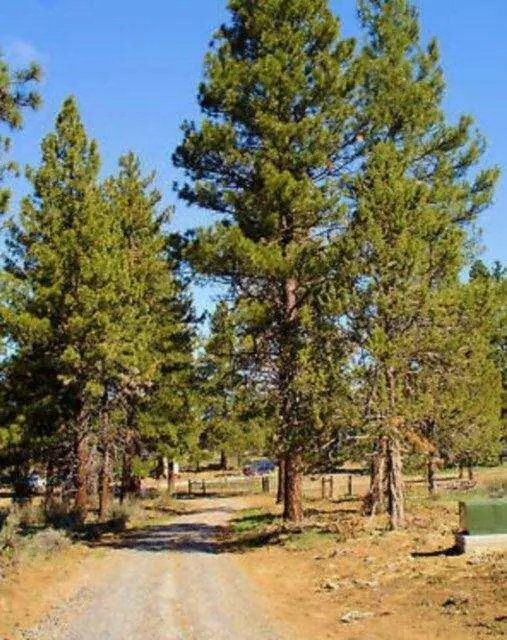 Bonanza, OR 97623,Lot 8 Ruddy Duck DR