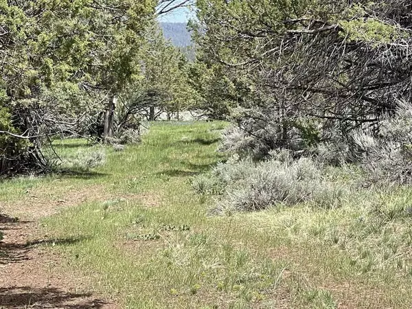 Bly, OR 97622,TL 8500 Fishhole Creek RD