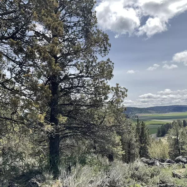 Klamath Falls, OR 97601,Lot 1210 Fox Sparrow DR