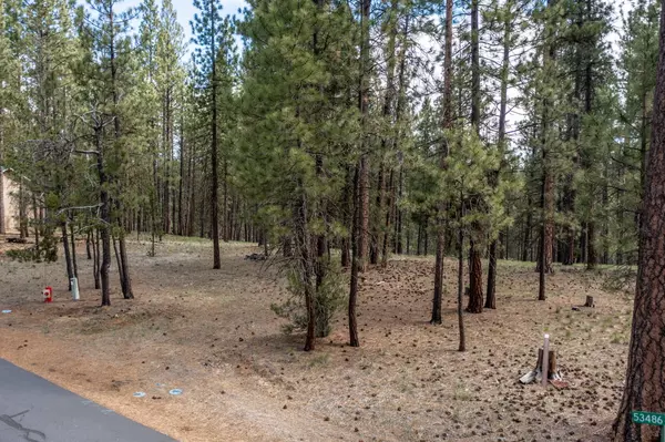 La Pine, OR 97739,53486 Wildriver WAY