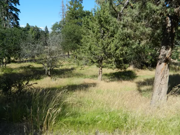 Klamath Falls, OR 97601,Lot 916 Redstart RD