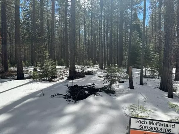 Klamath Falls, OR 97601,Frontier Tracts B & C #Lot 219