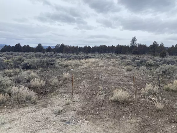 Beatty, OR 97621,38205 Highway 140