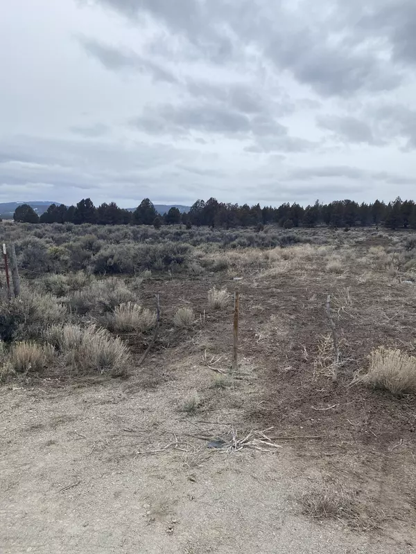 Beatty, OR 97621,38205 Highway 140