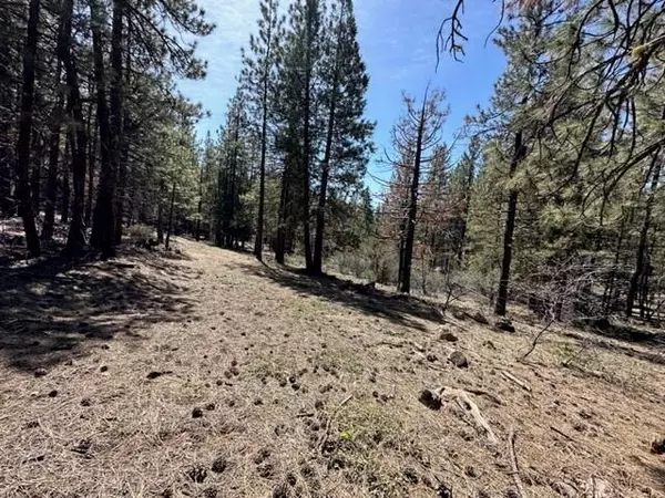 Bonanza, OR 97623,0 Porpoise LN #lot 7