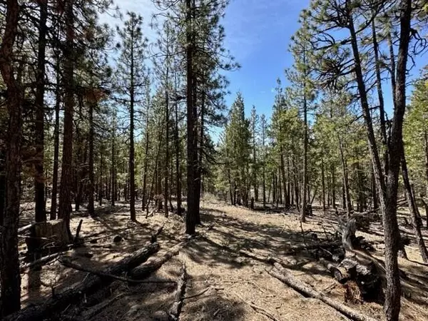 Bonanza, OR 97623,Lot 7 Porpoise LN