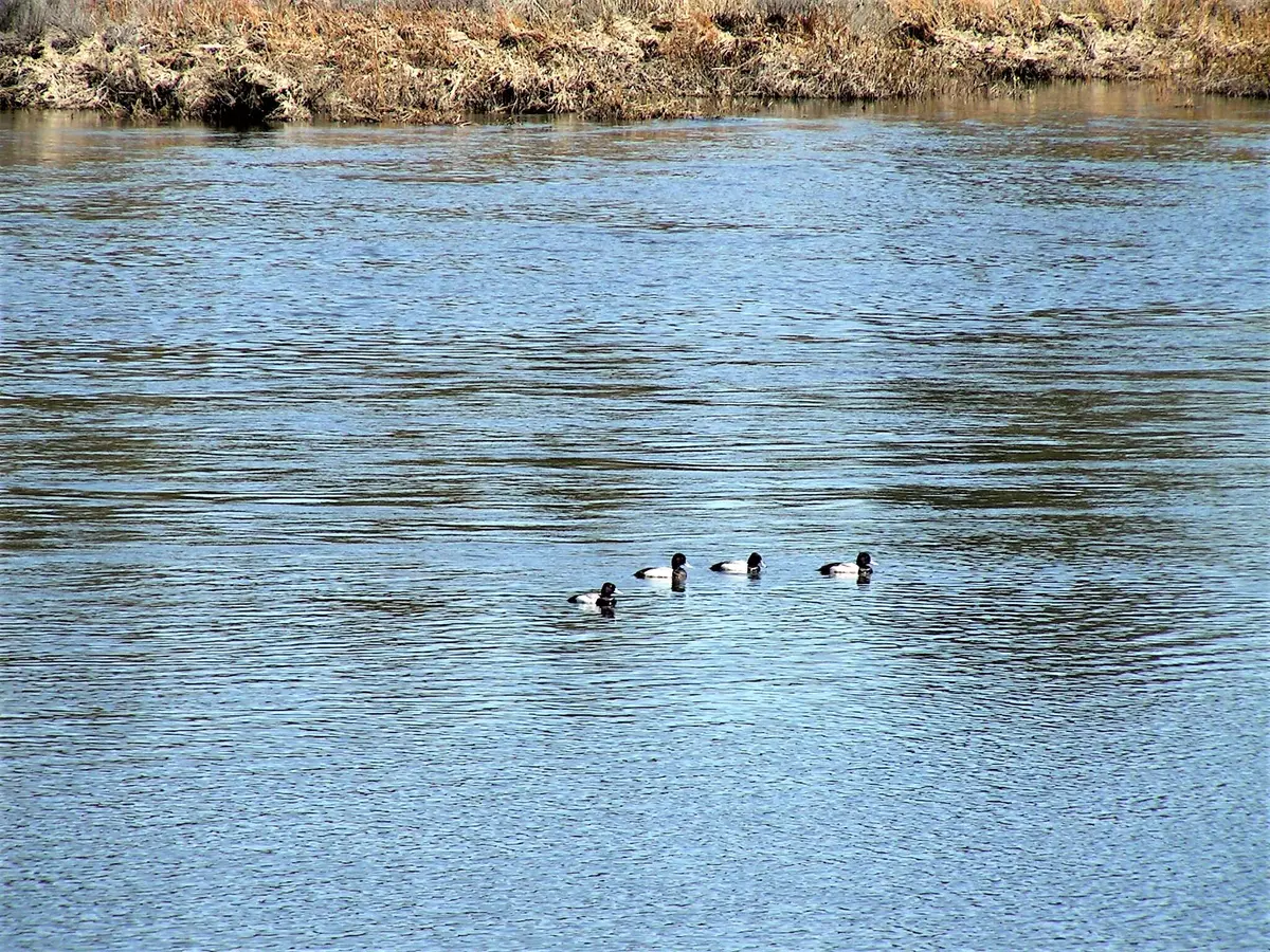 Chiloquin, OR 97624,Sprague River Rd