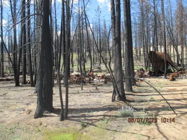 Bly, OR 97622,Lot - 16 Black Pine RD