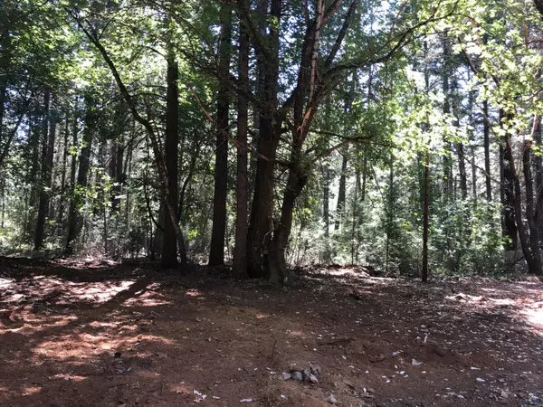 Cave Junction, OR 97523,382 Garner RD