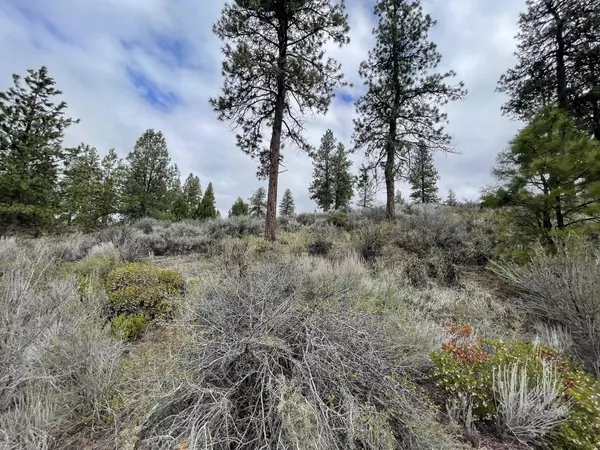 Chiloquin, OR 97624,Lot 25 Legget DR