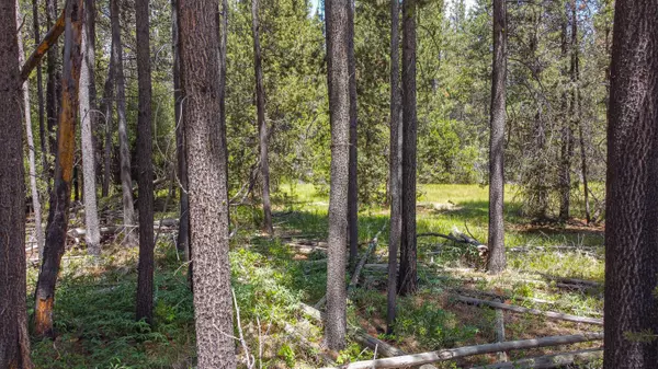 Bend, OR 97707,16944 Glendale RD