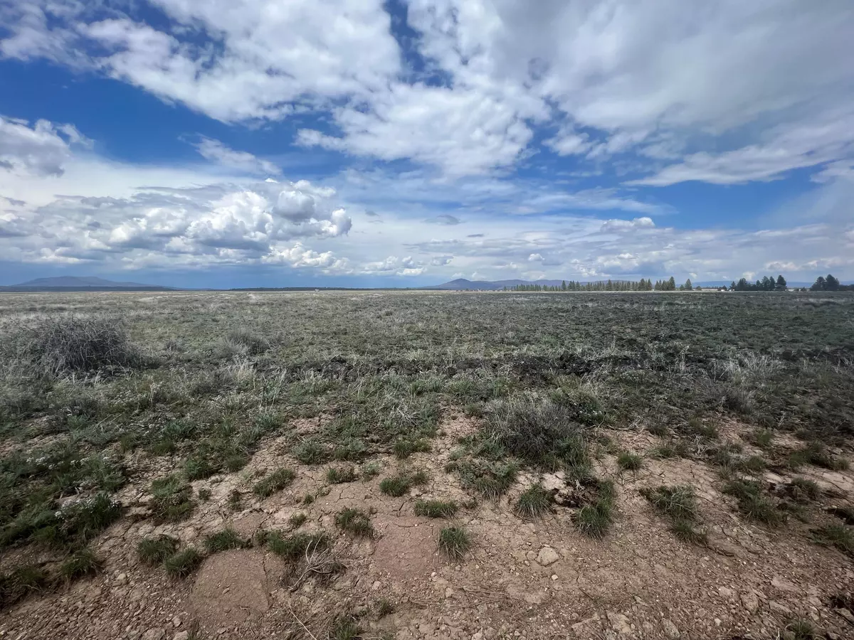 Sprague River, OR 97639,Lot 16 Rim DR