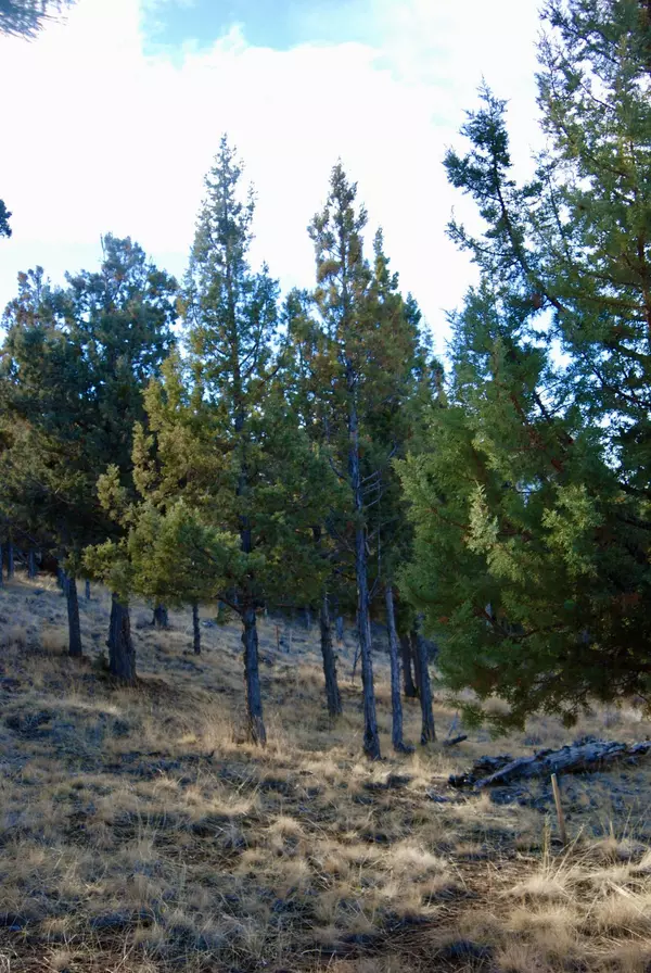 Bend, OR 97703,3481 Bryce Canyon LN